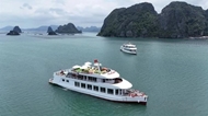 Quang Ninh boosts summer tourism with various activities